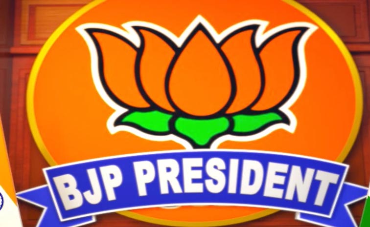 bjp.jpg