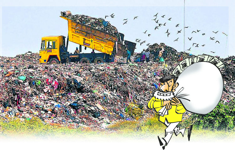 cheta.jpg