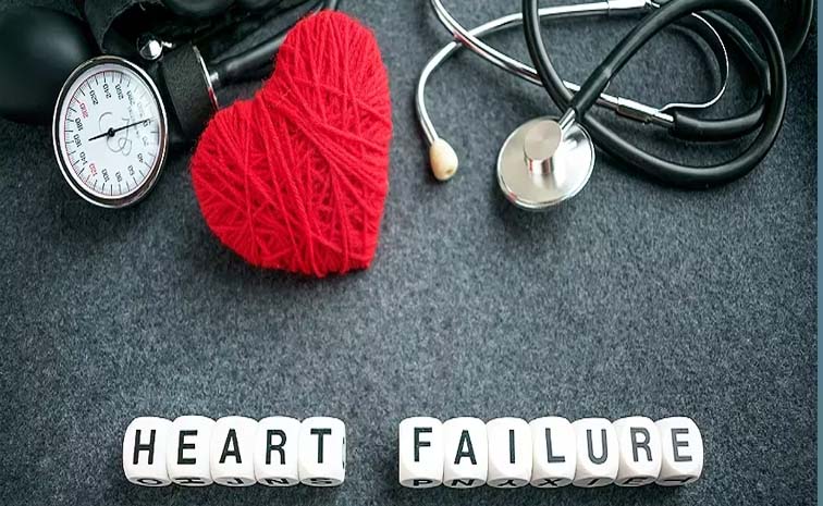 heart.jpg