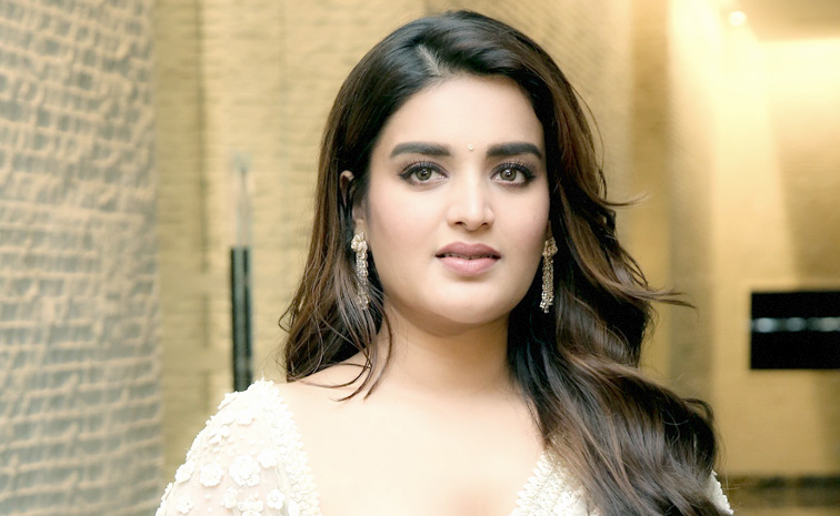nidhi-agarwal1.jpg