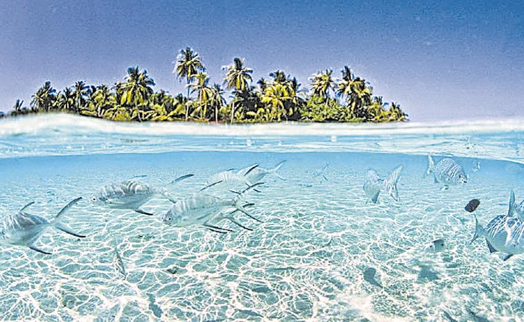 Tuvalu-More-Than-Third-Of-C.jpg