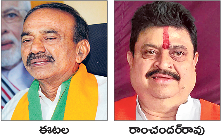 bjp11.jpg