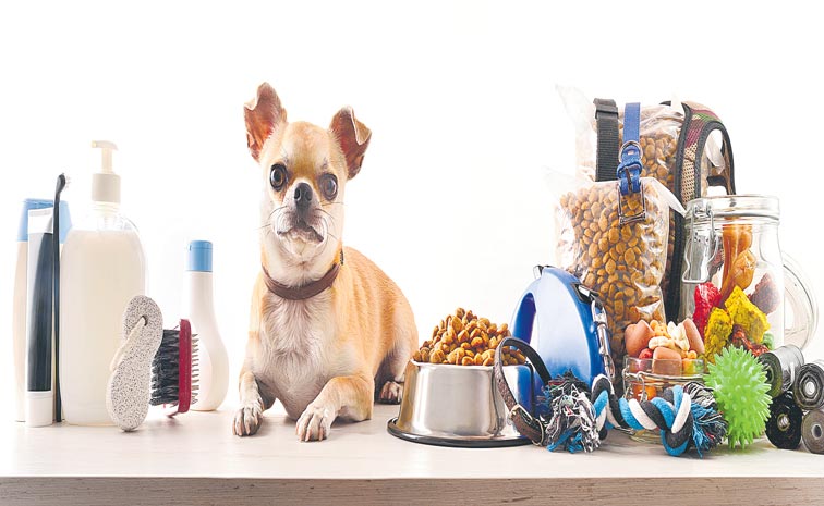 ISTOCK-1341957270.jpg