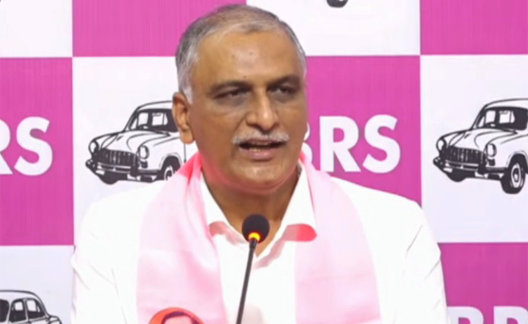 Harish-Rao.jpg