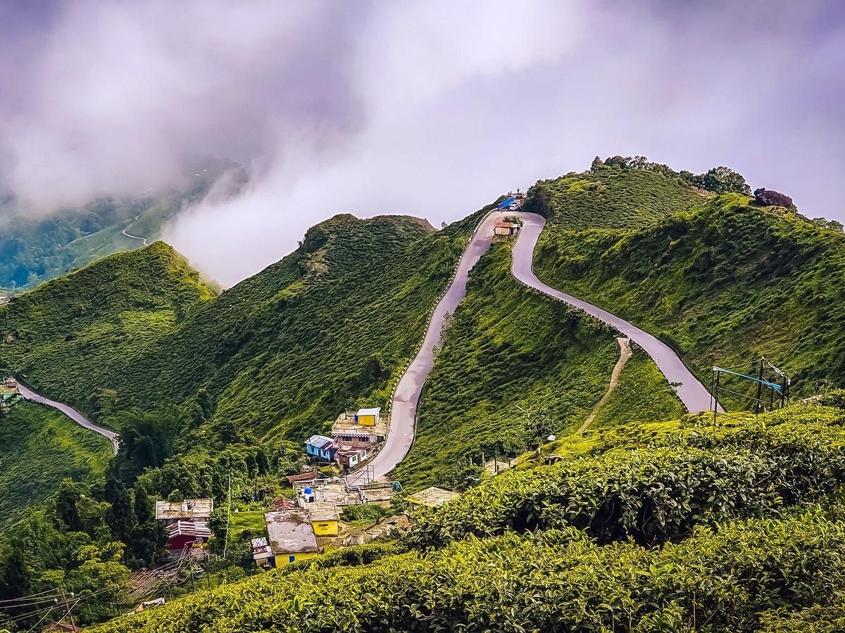 darjeeling10_0.jpg 10