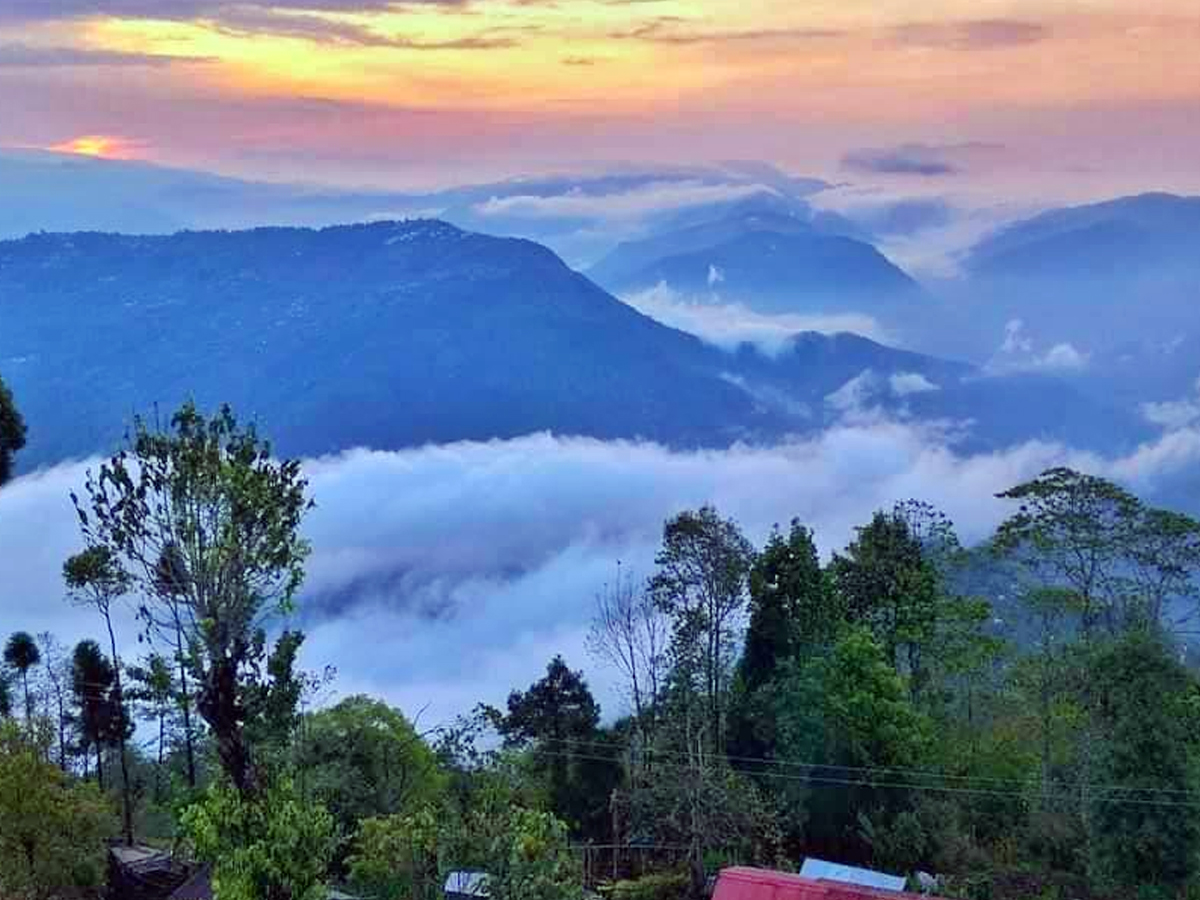 darjeeling3_0.jpg 3