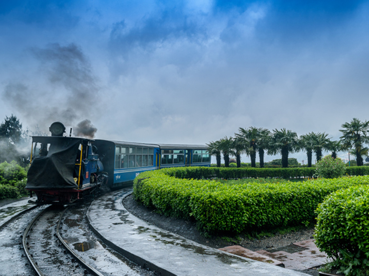 darjeeling9_0.jpg 9