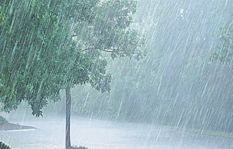 rain.jpg