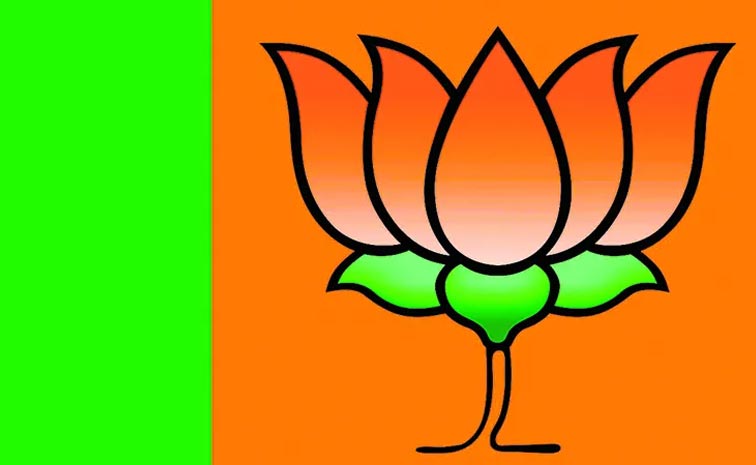 BJP_RSS.jpg