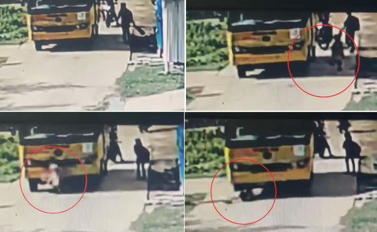 schoolbus1.jpg