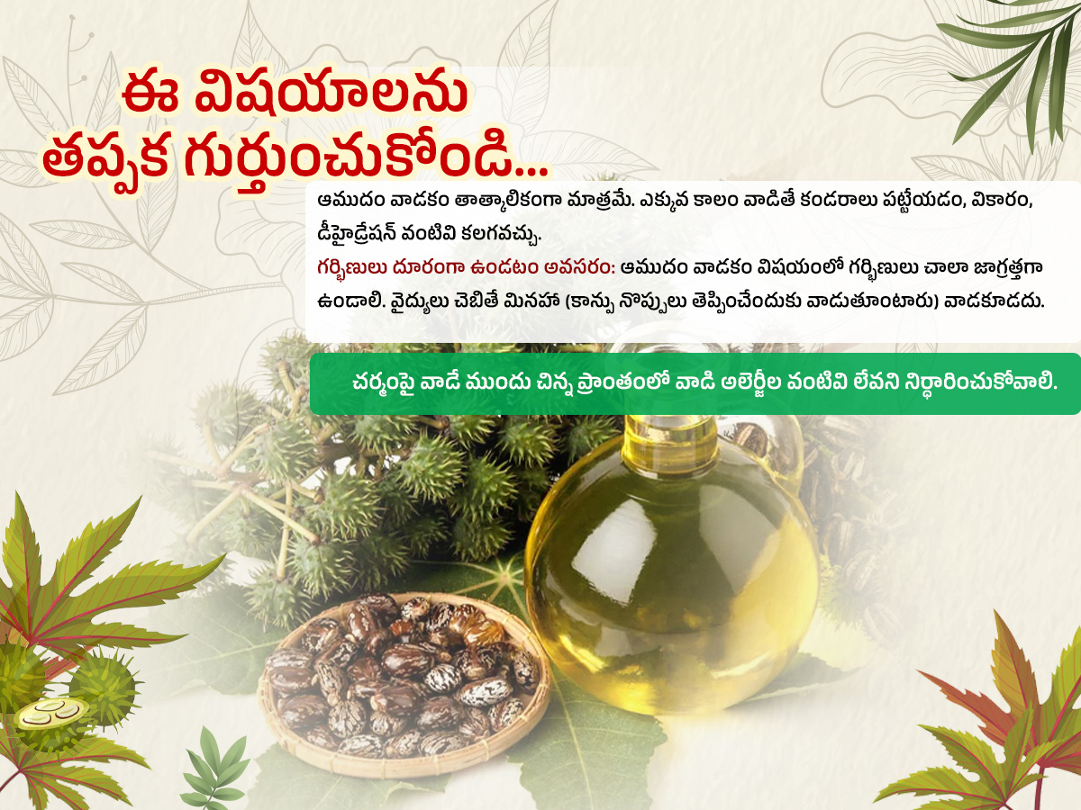 Castor-Oil--Health-Benefits-Amudham_-_2811_29.jpg 11