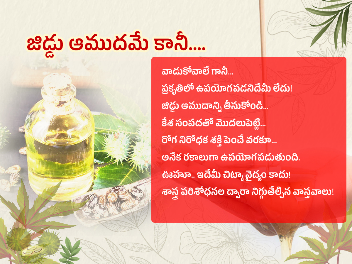 Castor-Oil--Health-Benefits-Amudham_-_281_29.jpg 1
