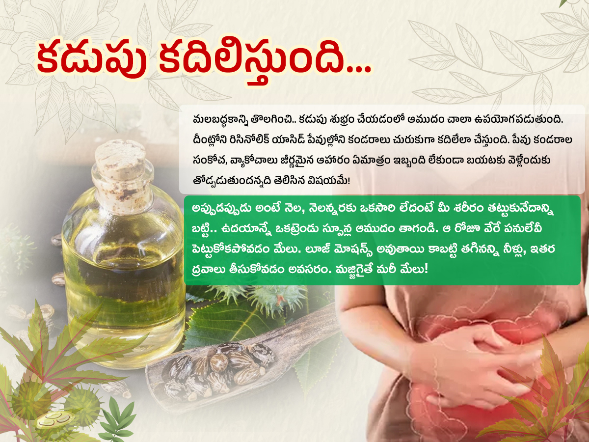 Castor-Oil--Health-Benefits-Amudham_-_282_29.jpg 2