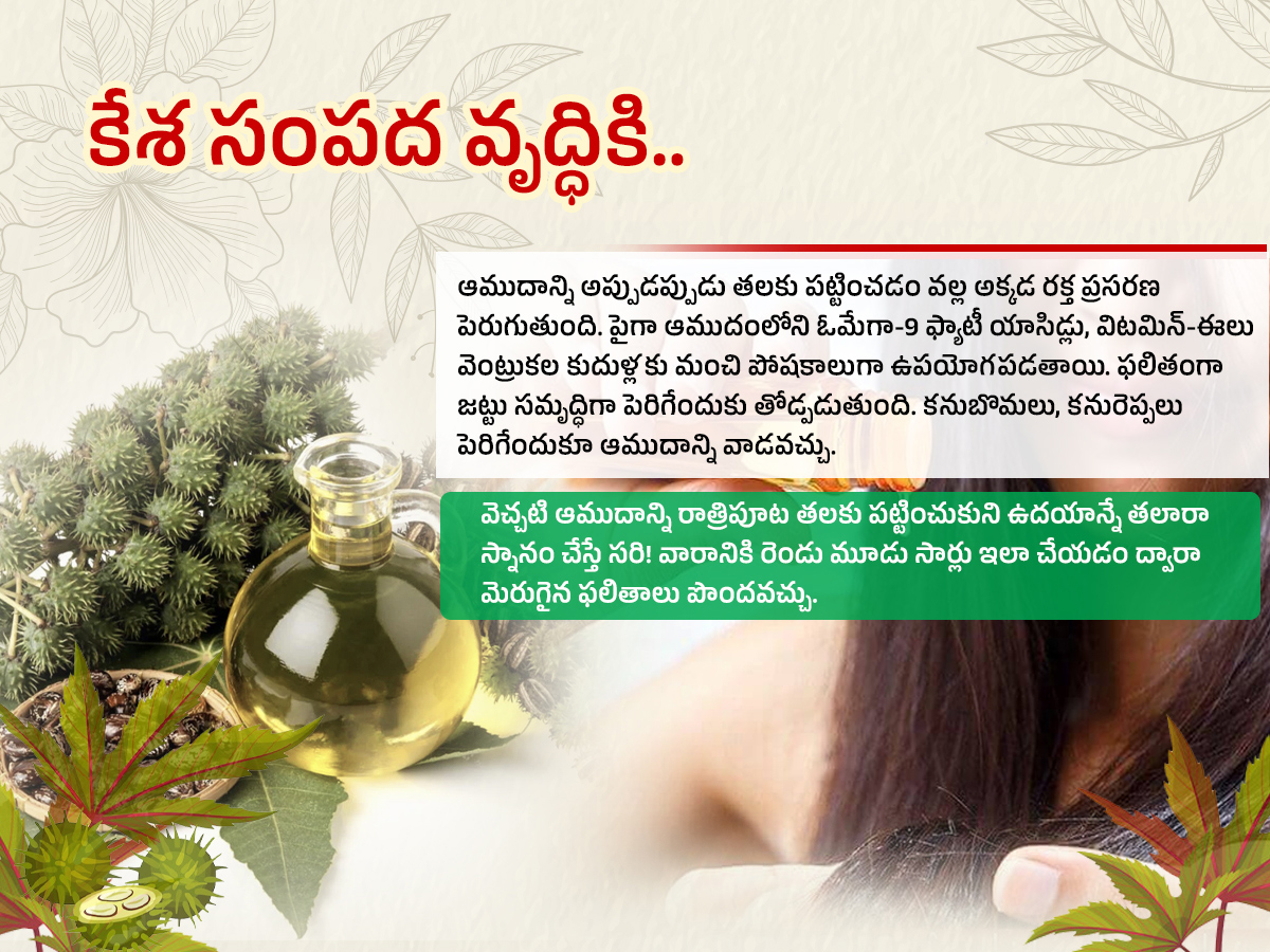 Castor-Oil--Health-Benefits-Amudham_-_283_29.jpg 3