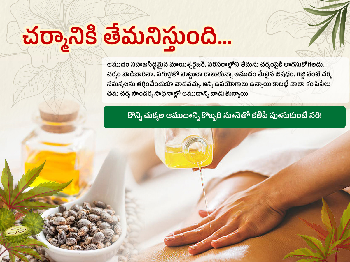 Castor-Oil--Health-Benefits-Amudham_-_284_29.jpg 4