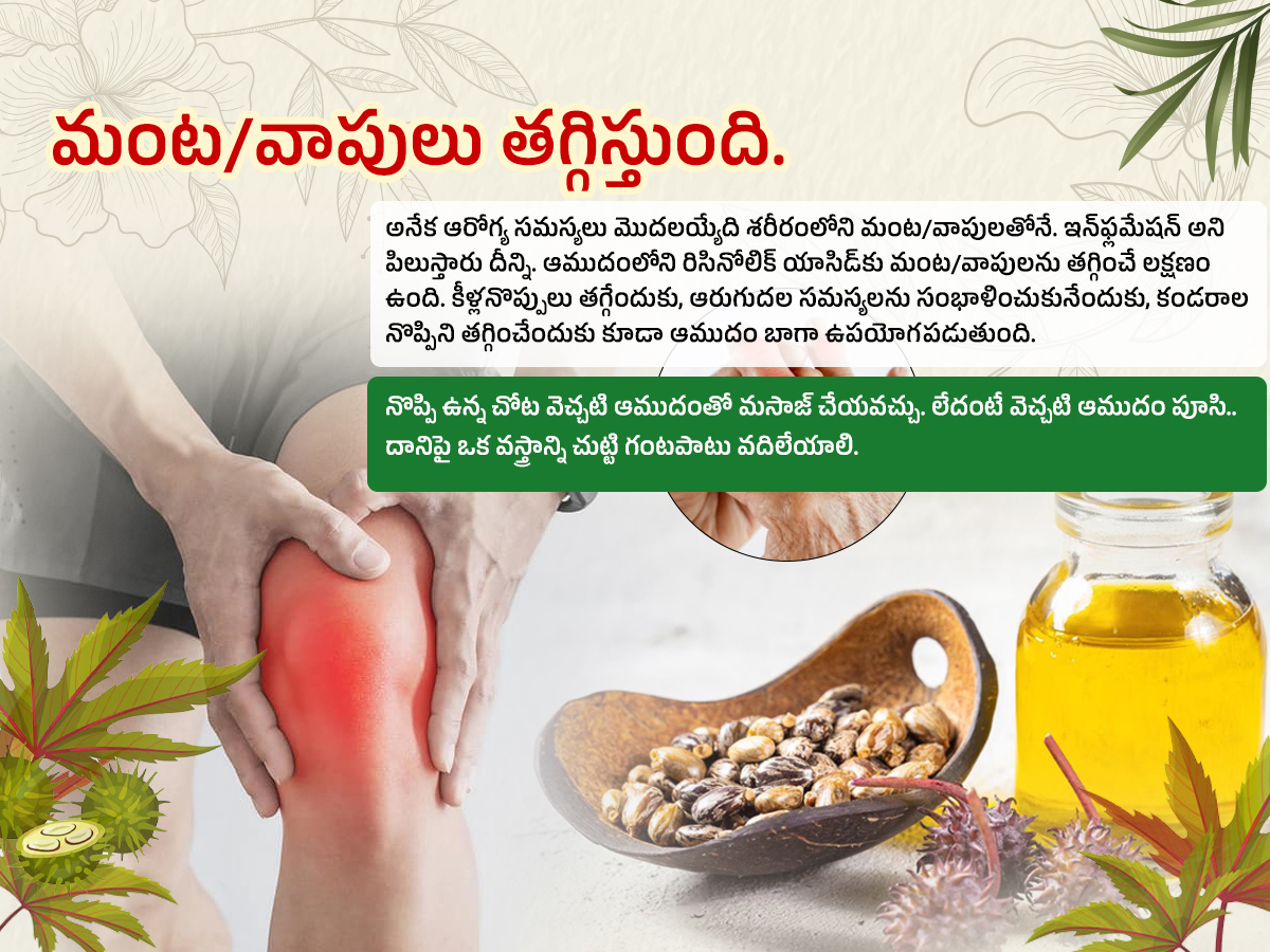Castor-Oil--Health-Benefits-Amudham_-_285_29.jpg 5