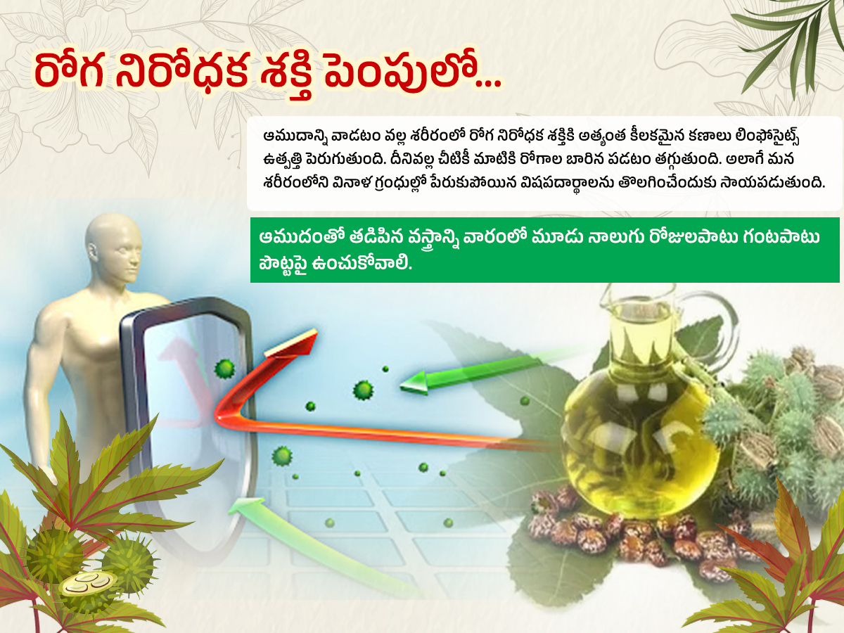 Castor-Oil--Health-Benefits-Amudham_-_286_29.jpg 6