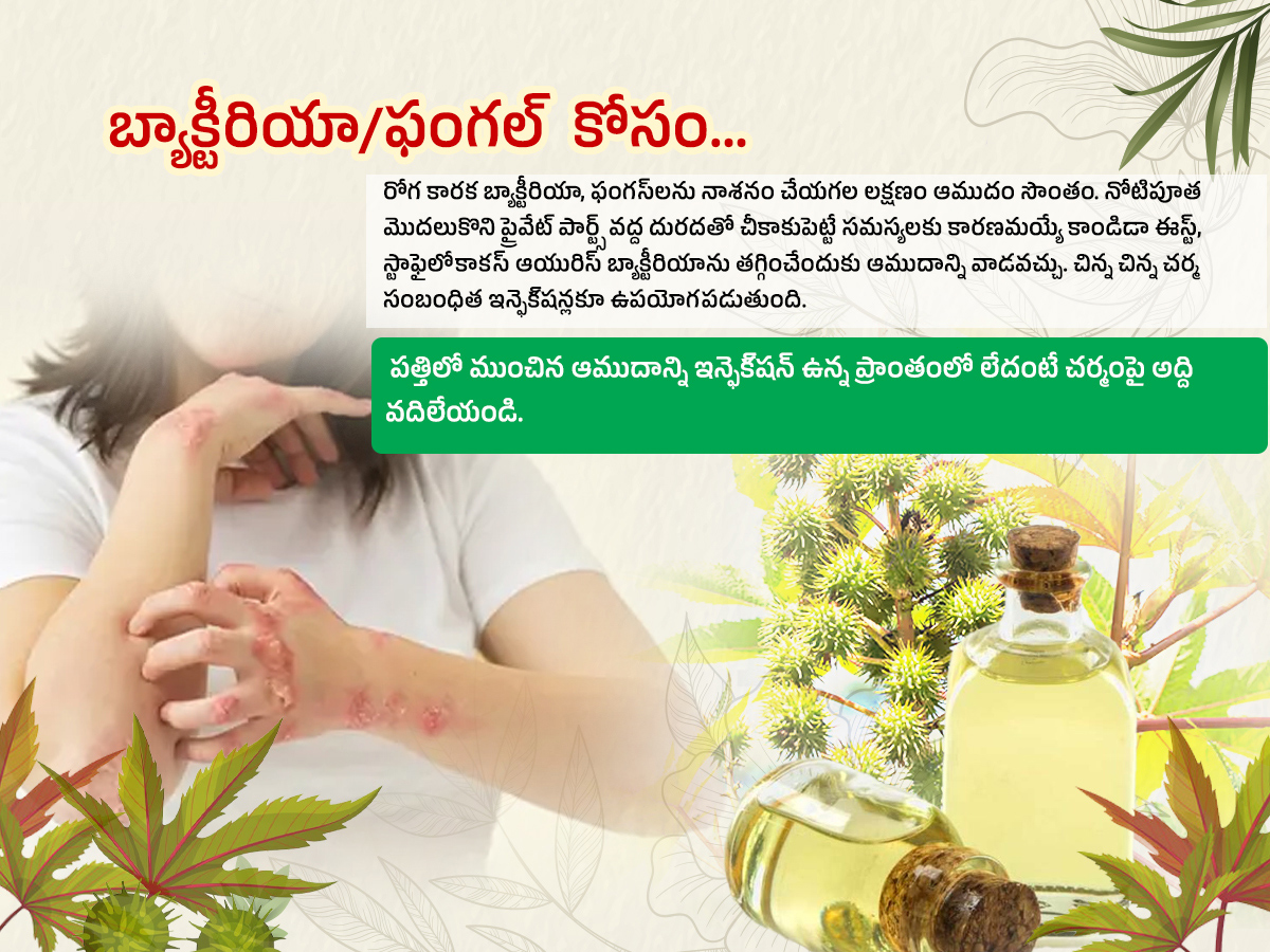 Castor-Oil--Health-Benefits-Amudham_-_287_29.jpg 7