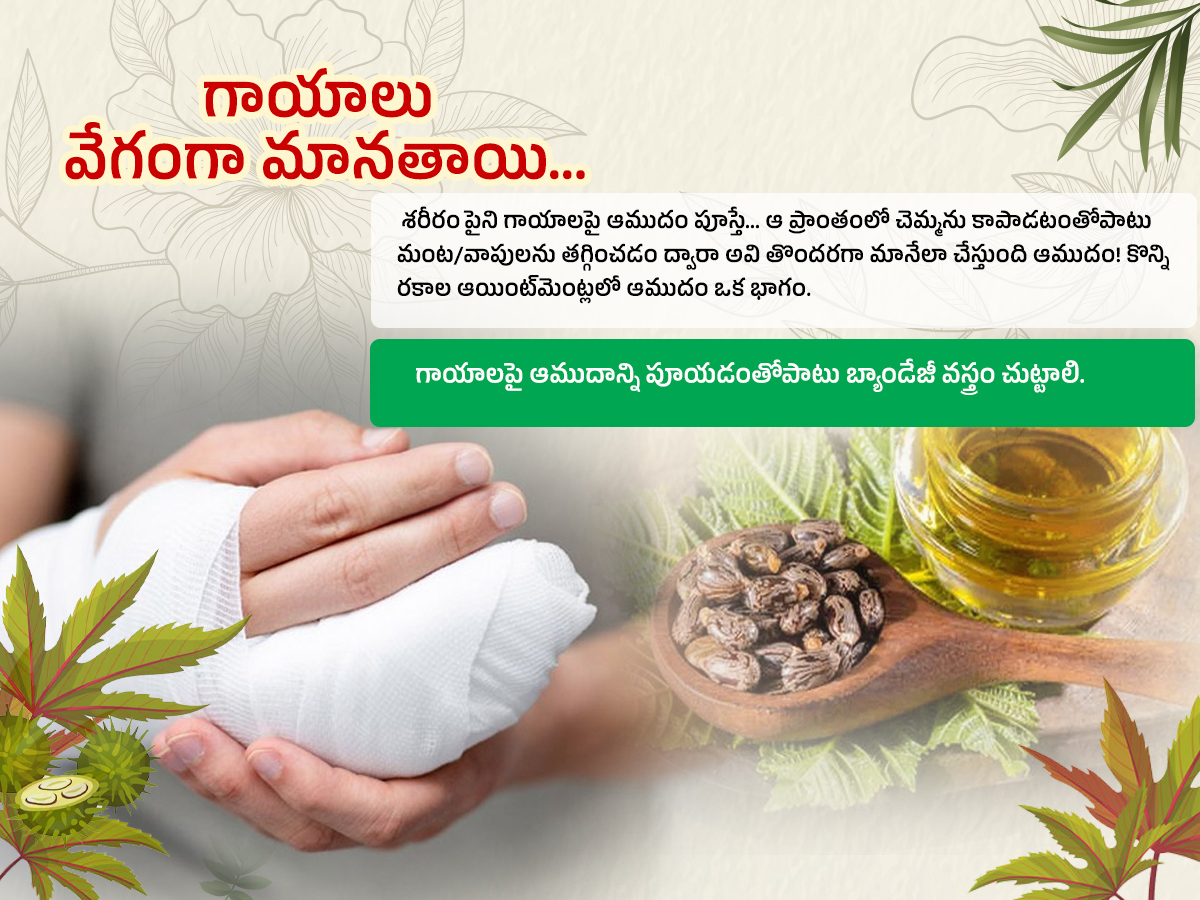 Castor-Oil--Health-Benefits-Amudham_-_288_29.jpg 8