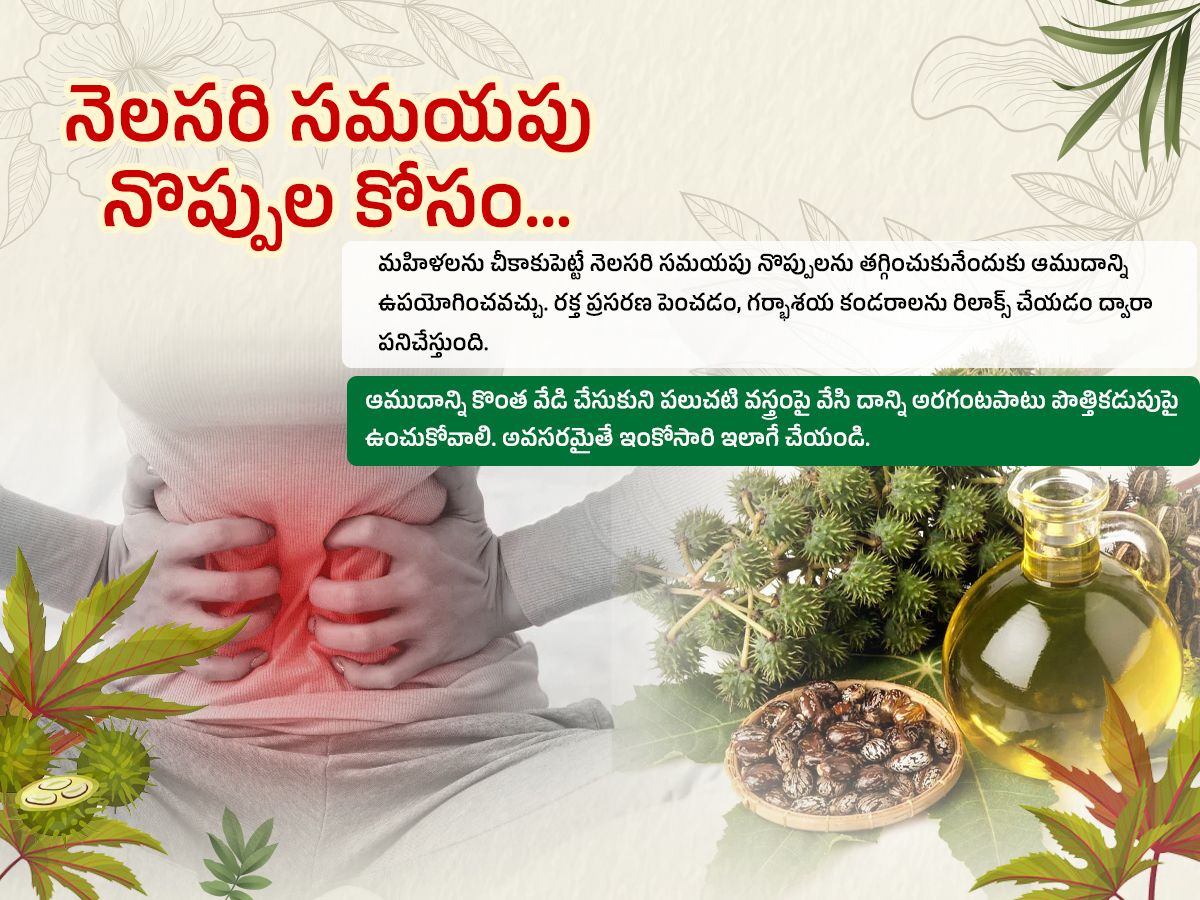 Castor-Oil--Health-Benefits-Amudham_-_289_29.jpg 9