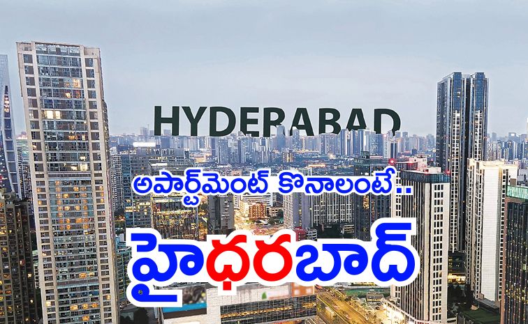hyd.jpg