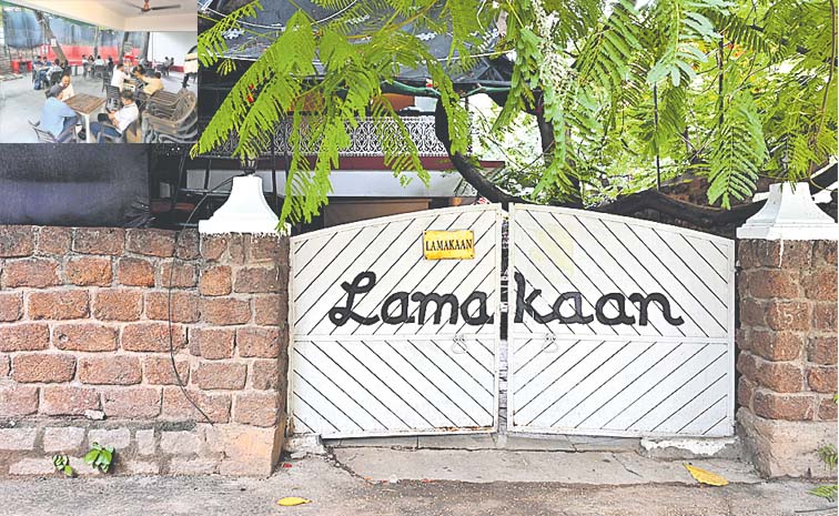 lama2_0.jpg