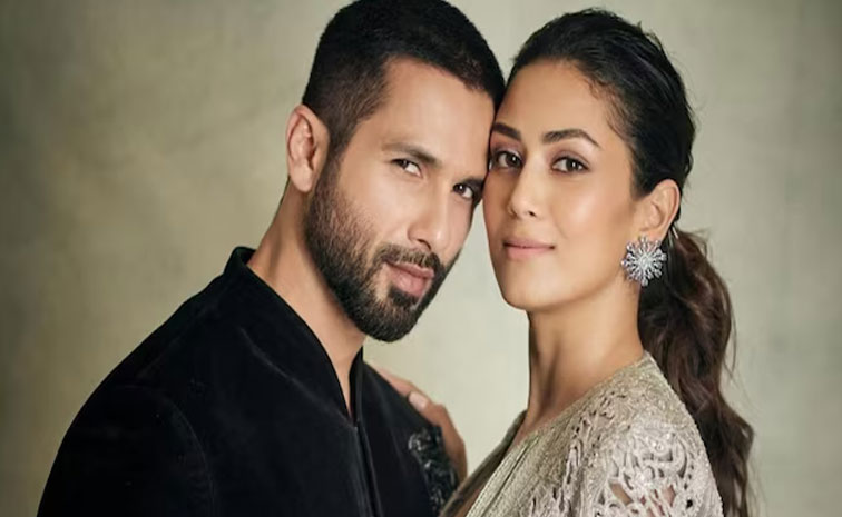 shahid-kapoor.jpg