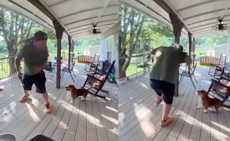 squirrel-fight.jpg