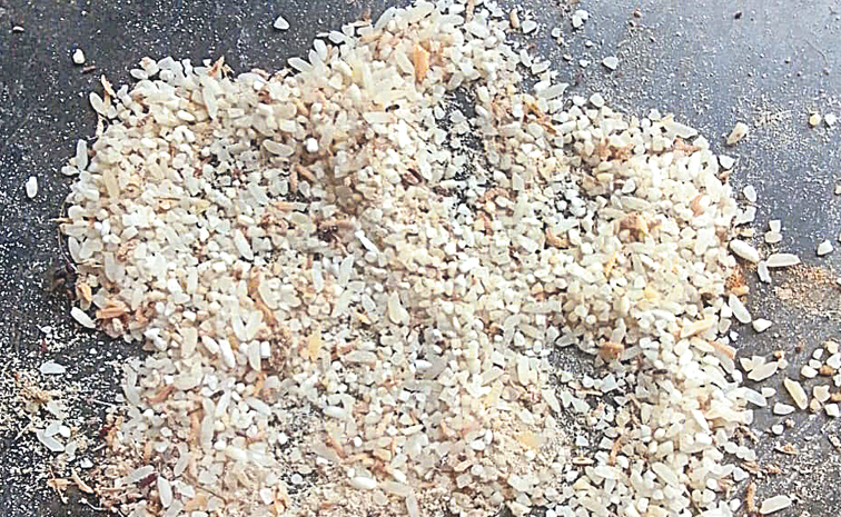 rice-new.jpg
