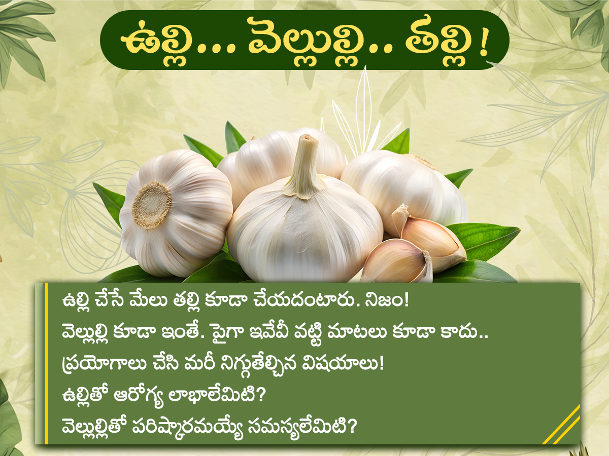 Health-Tips--Health-Benefits-of-Garlic-Photos_-_281_29.jpg 1