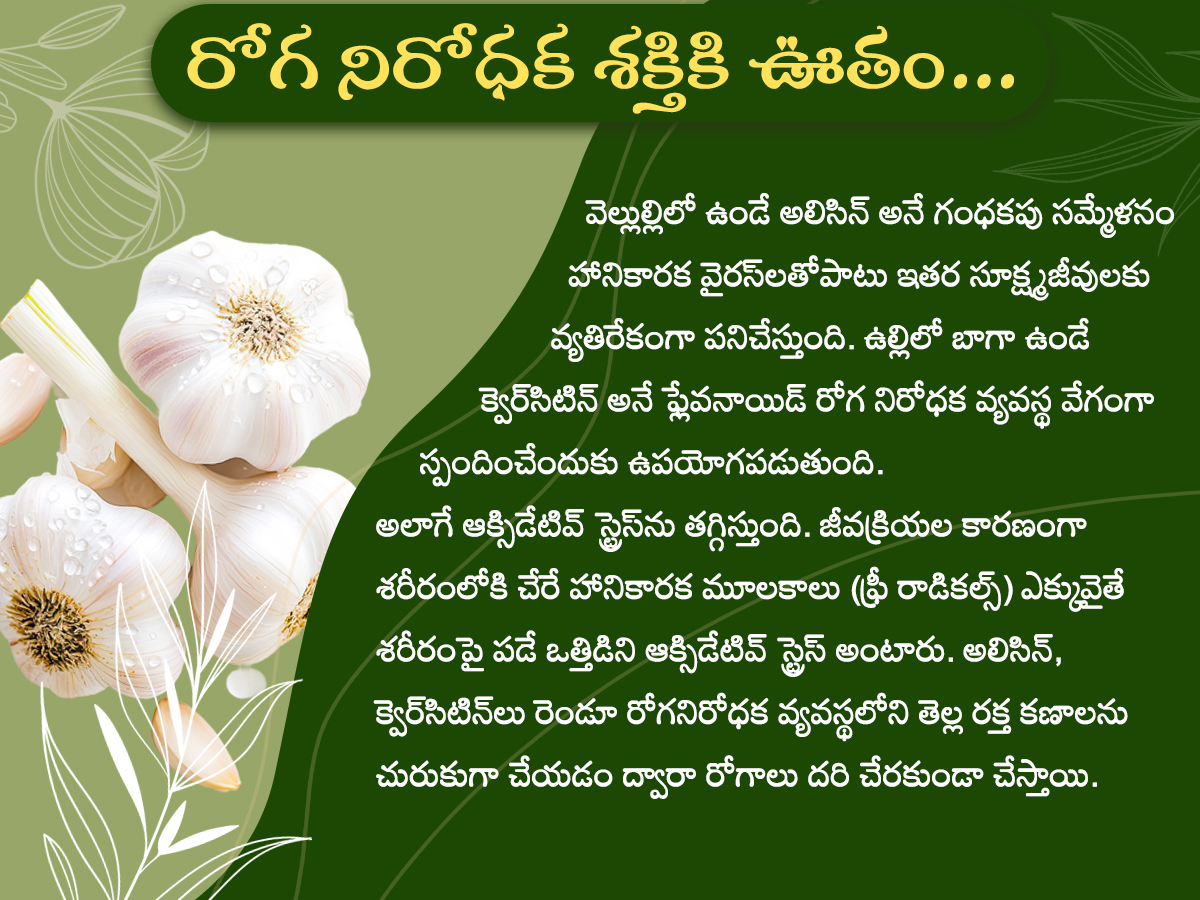 Health-Tips--Health-Benefits-of-Garlic-Photos_-_282_29.jpg 2