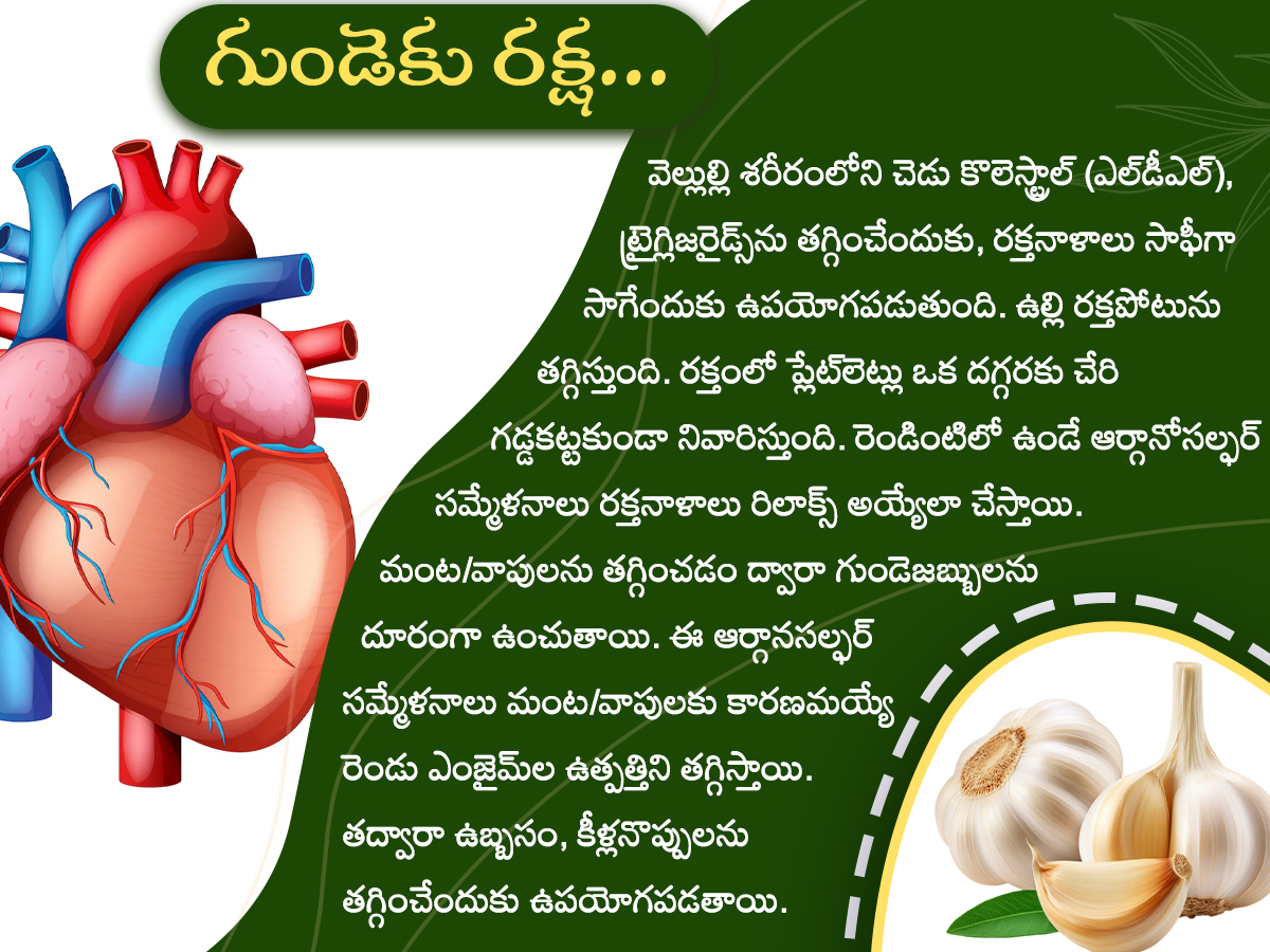 Health-Tips--Health-Benefits-of-Garlic-Photos_-_283_29.jpg 3