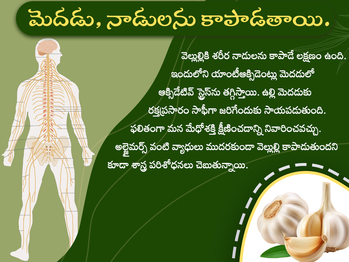 Health-Tips--Health-Benefits-of-Garlic-Photos_-_285_29.jpg 5