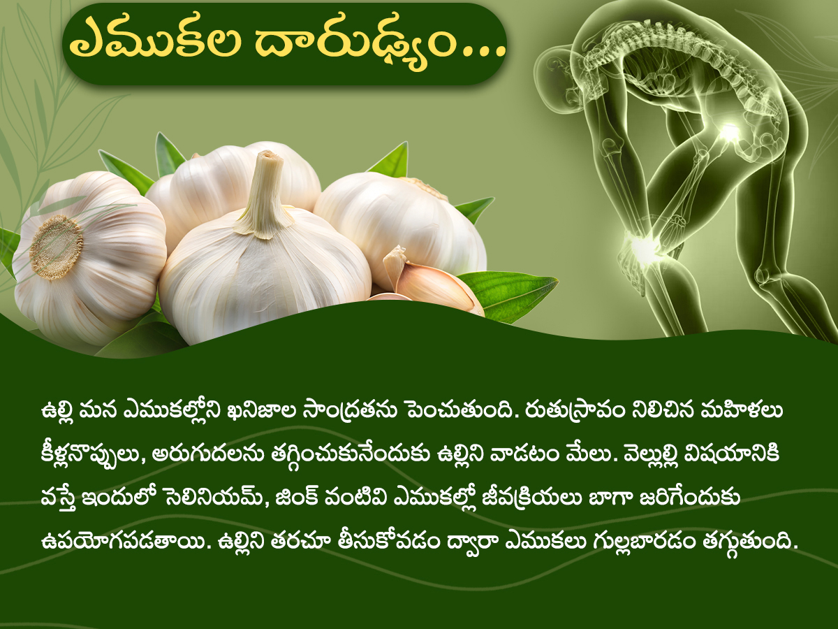Health-Tips--Health-Benefits-of-Garlic-Photos_-_286_29.jpg 6