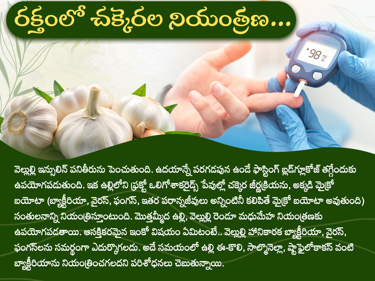 Health-Tips--Health-Benefits-of-Garlic-Photos_-_287_29.jpg 7
