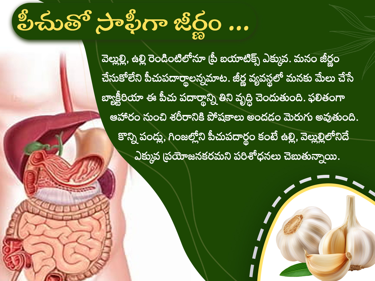 Health-Tips--Health-Benefits-of-Garlic-Photos_-_288_29.jpg 8