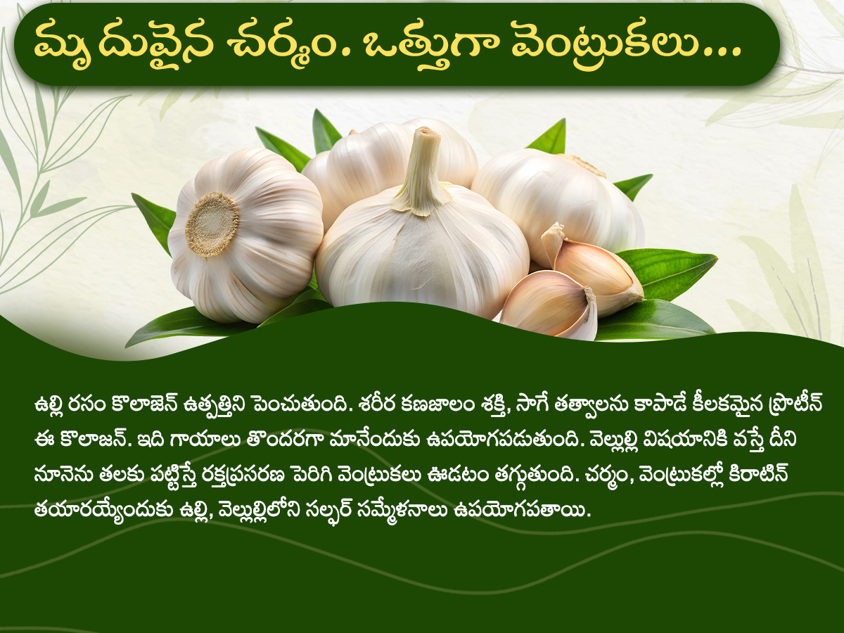 Health-Tips--Health-Benefits-of-Garlic-Photos_-_289_29.jpg 9