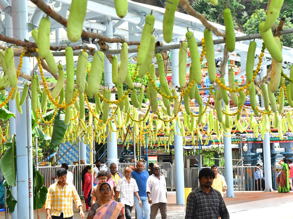 Shakambari_20Utsavalu_202025_20At_20Indrakeeladri_20Kanaka_20Durga_20Temple_20Photos_20_2812_29.jpg 28