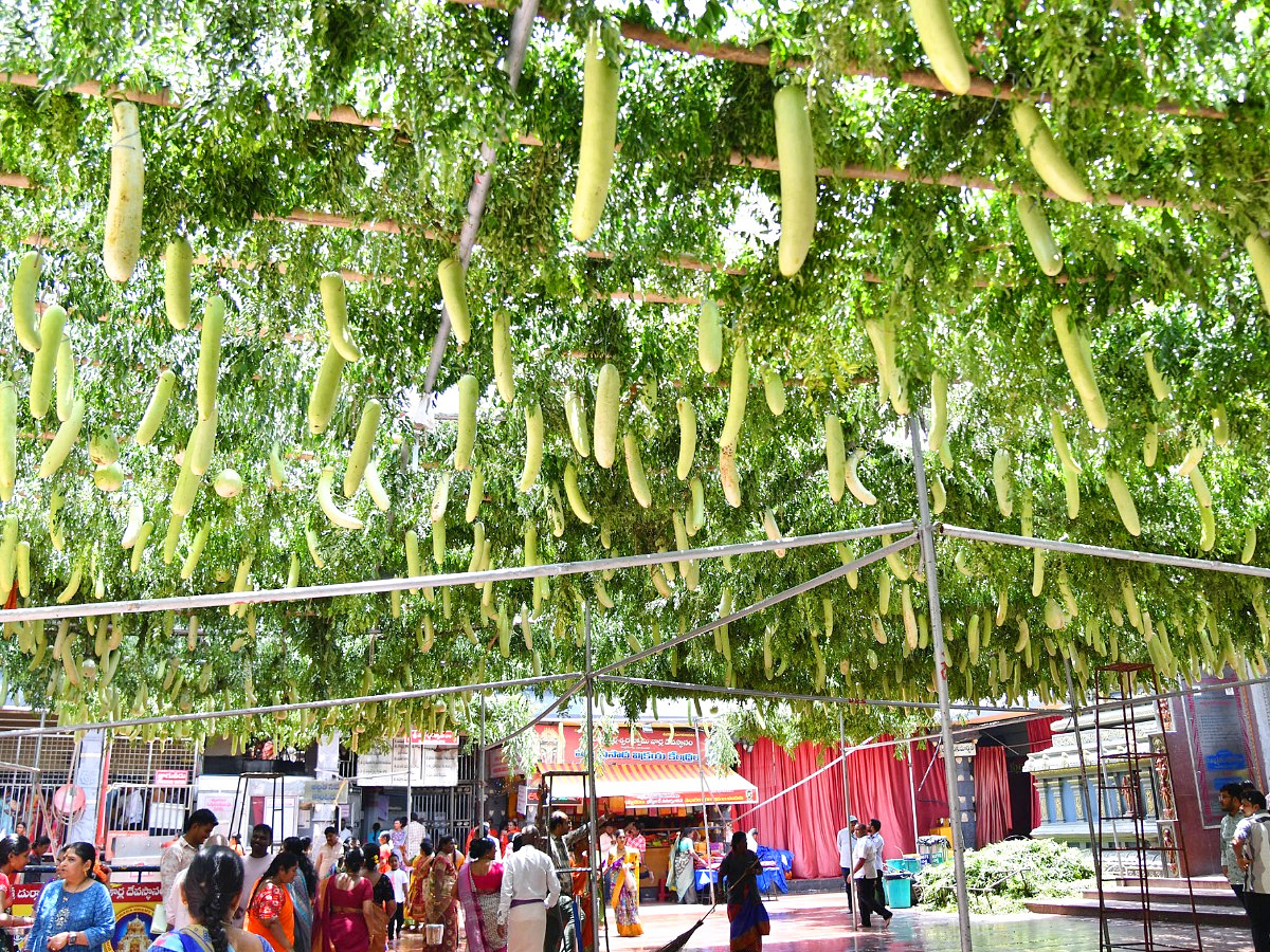 Shakambari_20Utsavalu_202025_20At_20Indrakeeladri_20Kanaka_20Durga_20Temple_20Photos_20_2813_29.jpg 2
