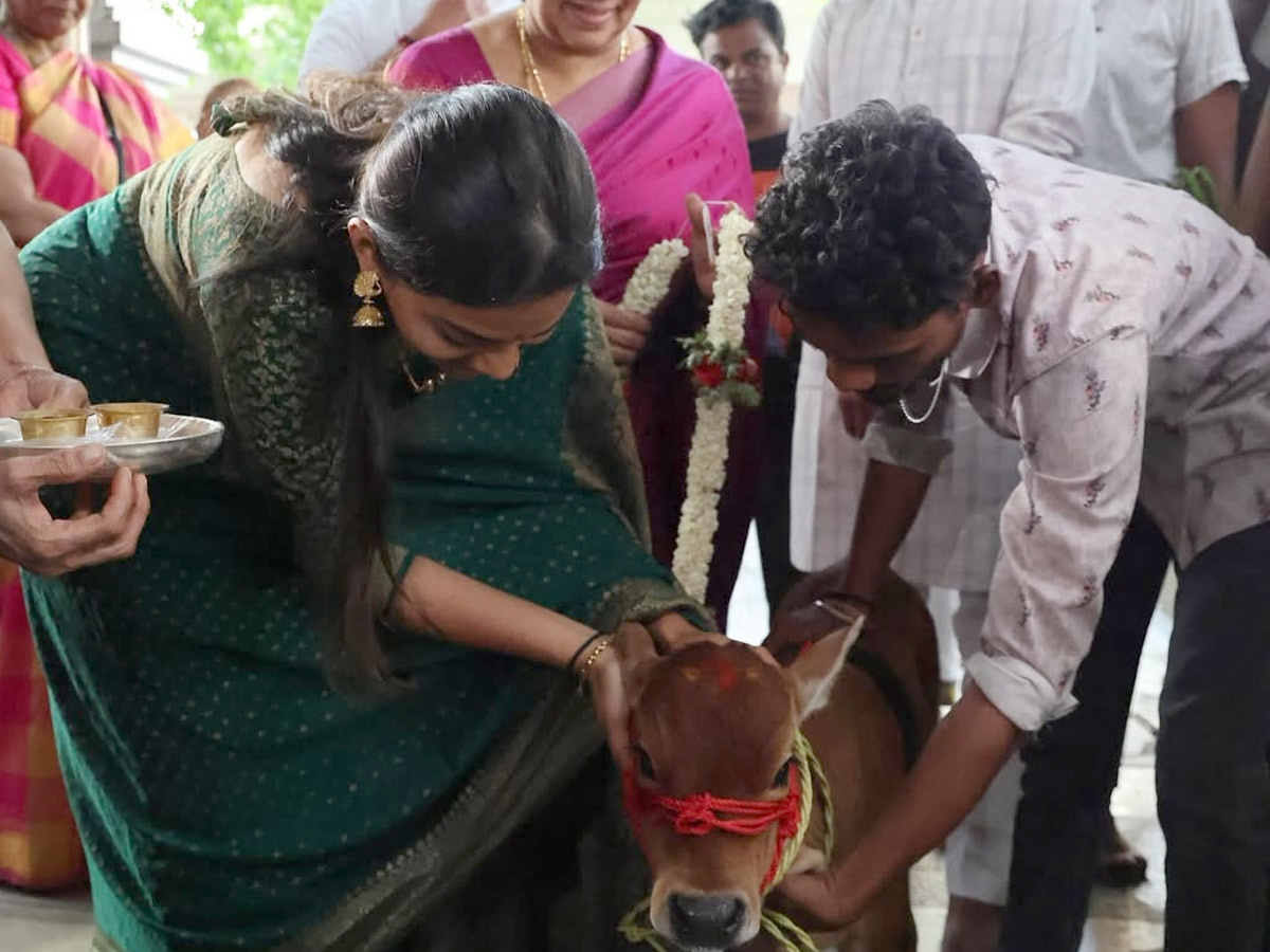 Tejasvi_20Surya_2C_20Sivasri_20Skandaprasad_20welcome_20New_20family_20member_20Punganur_20cow_20Photos_20_2814_29.jpg 6