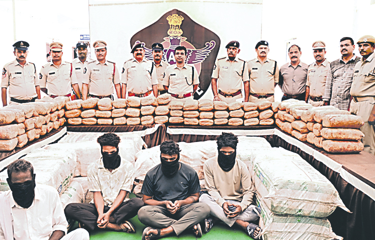 police_20ganja_20caught.jpg