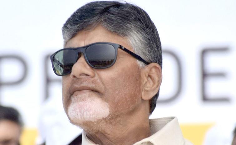 chandrababu1.jpg