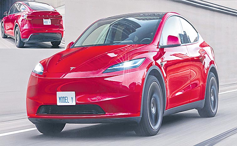 MODELY.jpg