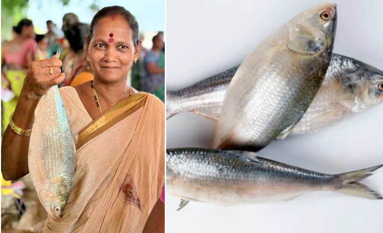 pulusu-fish.jpg