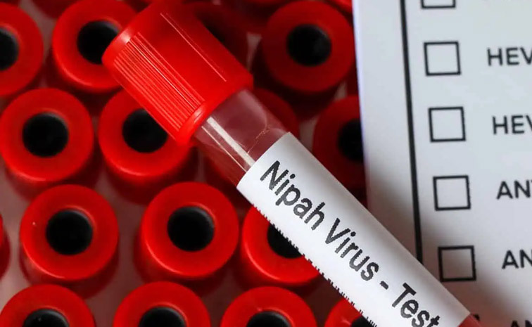 nipah-main.jpg