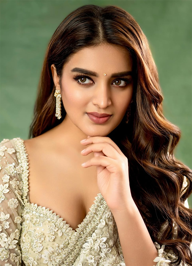 Actress_20Nidhi_20Agarwal_20Latest_20Photos_20Viral__20_2815_29.jpg 15