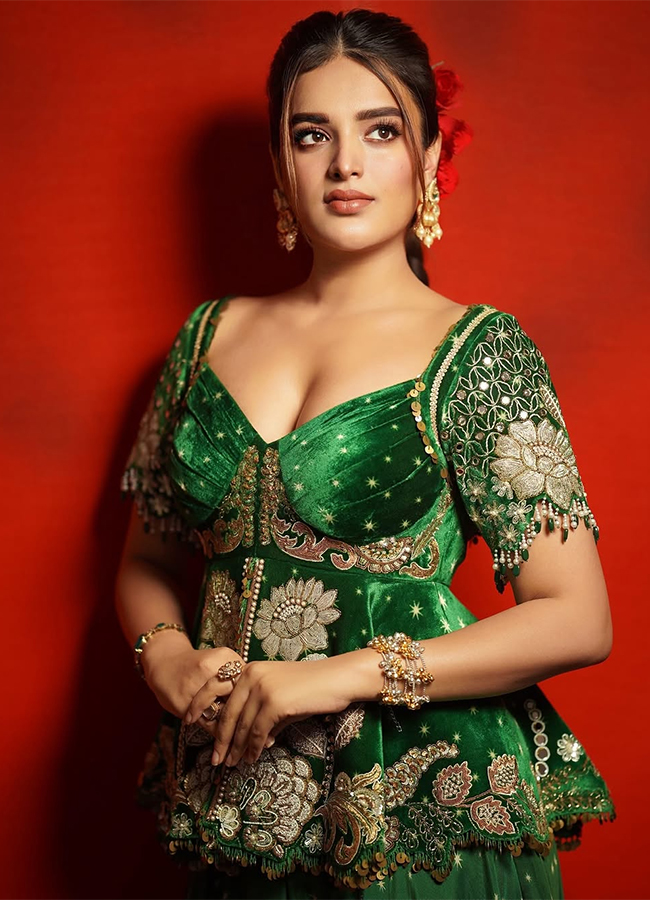 Actress_20Nidhi_20Agarwal_20Latest_20Photos_20Viral__20_2818_29.jpg 18