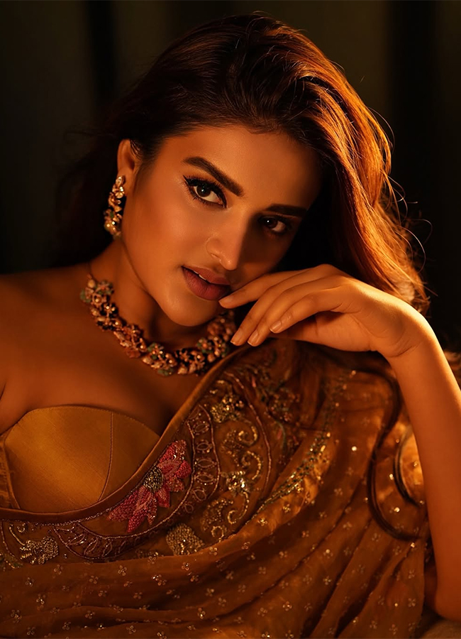 Actress_20Nidhi_20Agarwal_20Latest_20Photos_20Viral__20_2819_29.jpg 19