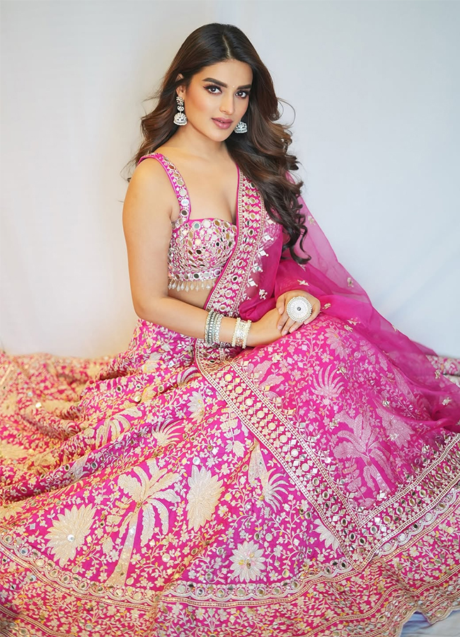 Actress_20Nidhi_20Agarwal_20Latest_20Photos_20Viral__20_283_29.jpg 3