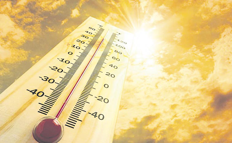 SUN.jpg
